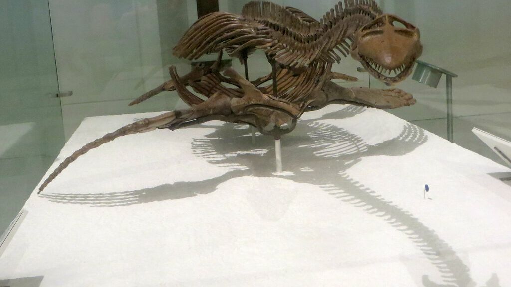 5 Prehistoric Marine Creatures That Dominated North American Waters