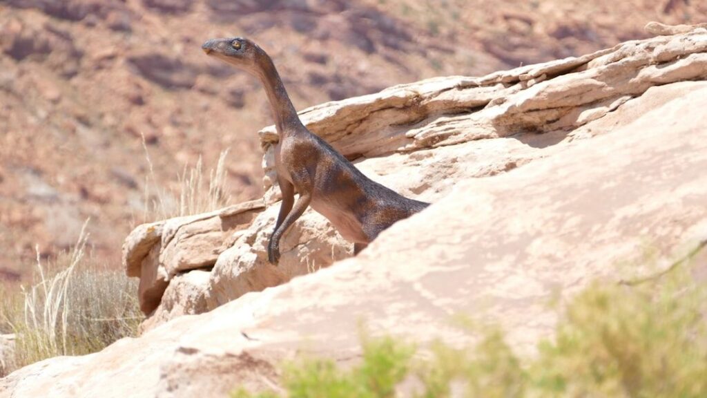 11 Ways Dinosaurs Adapted to Survive Earth's Most Extreme Environments