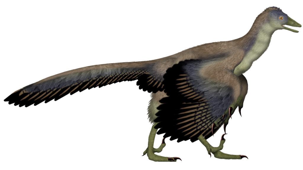 The Evolution of Dinosaur Feathers Was More Diverse Than Previously Thought