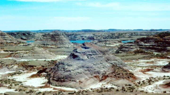 7 Iconic Dinosaur Fossil Sites You Can Visit Across North America