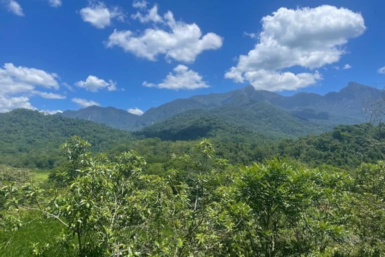 Brazil’s Atlantic Forest Indigenous lands show strong restoration gains