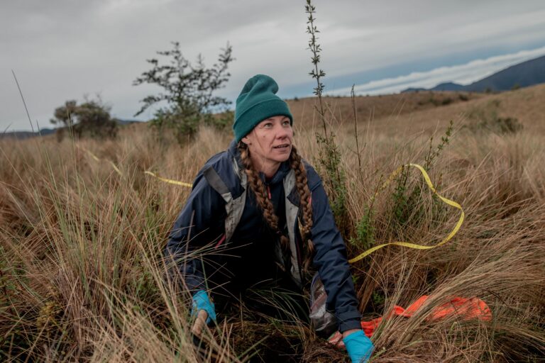 Mapping underground fungal networks: Interview with SPUN’s Toby Kiers