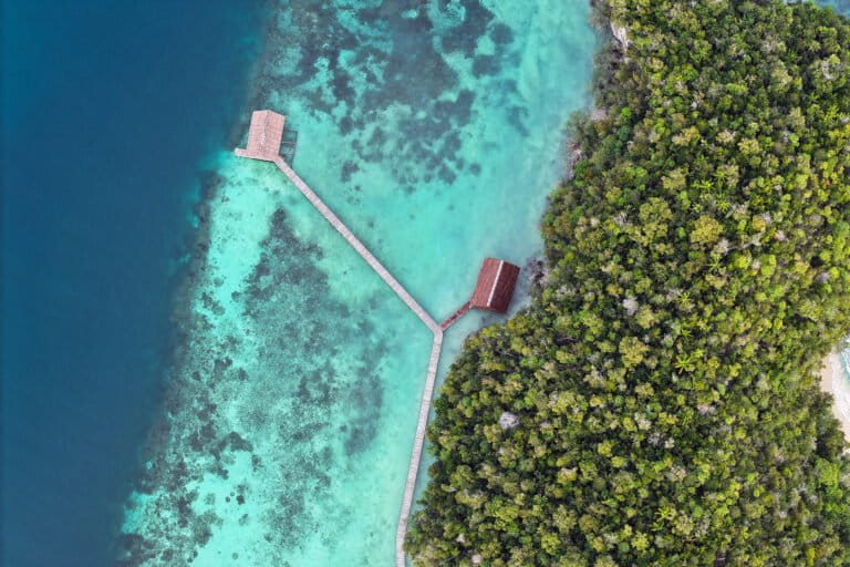 Why a healthy information ecosystem matters