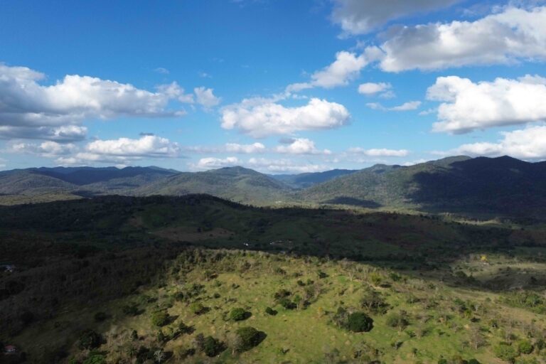 Brazil’s Atlantic Forest Indigenous lands show strong restoration gains