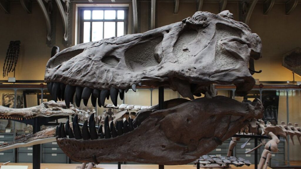 Were Dinosaur Brains More Complex Than We Currently Imagine?