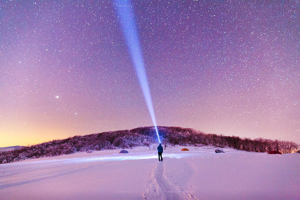 Daily Horoscopes: Today In Your Stars