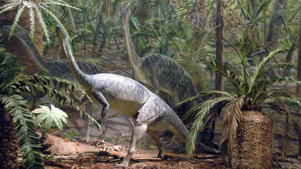 The Evolutionary Journey: From Single Cells to Dominant Dinosaurs