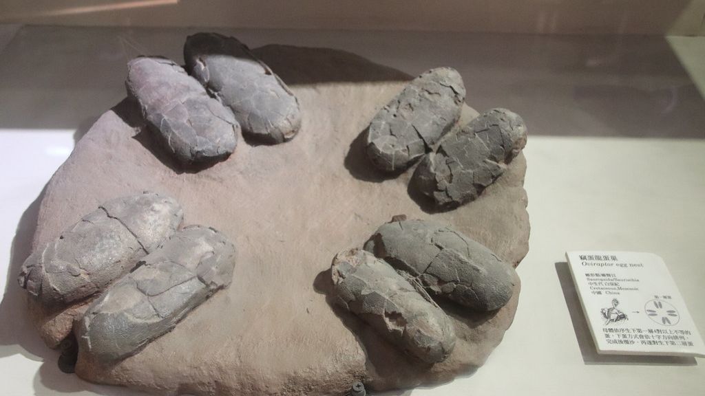 Fossilized Secrets: Evidence of Dinosaur Parental Care Astounds Paleontologists