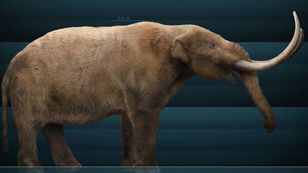 7 Astounding Prehistoric Creatures You Never Knew Existed in North America