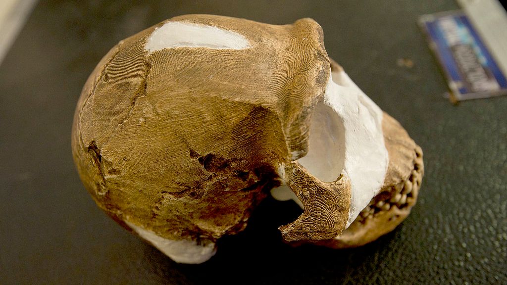 5 Essential Discoveries That Redefined Our Understanding of Early Man