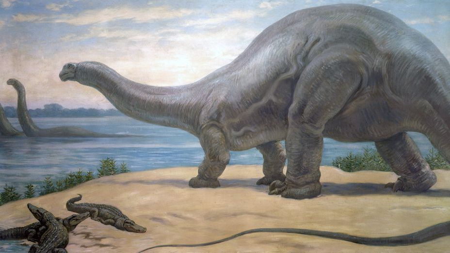 Giants Among Us: The Earth's Most Massive Dinosaurs Were Also the Most Gentle