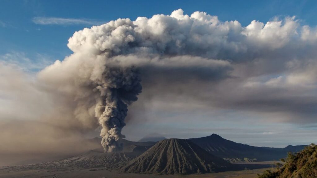 The Truth About Extinction: What Really Wiped Out Earth's Ancient Beasts?