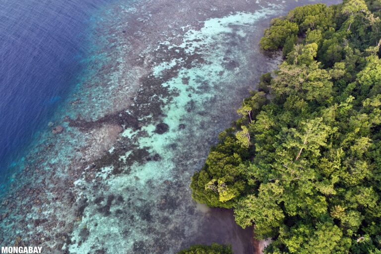 The business case for biodiversity