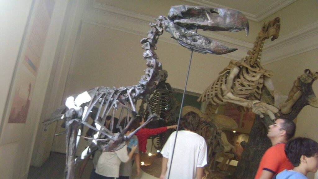 10 Fascinating Prehistoric Creatures Discovered in Ancient America