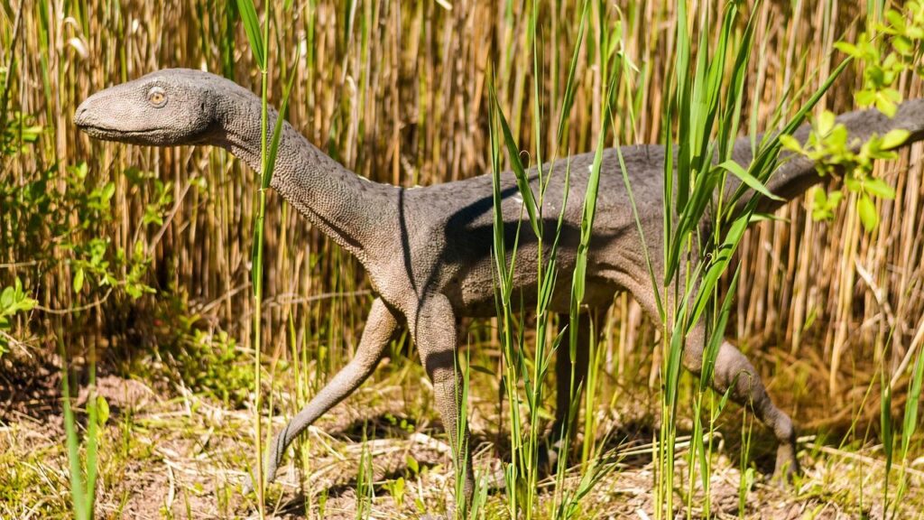 10 Incredible Adaptations That Allowed Dinosaurs to Dominate Their World