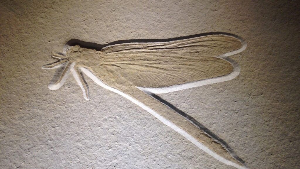 The Permian Extinction: Earth's Greatest Catastrophe and Its Legacy