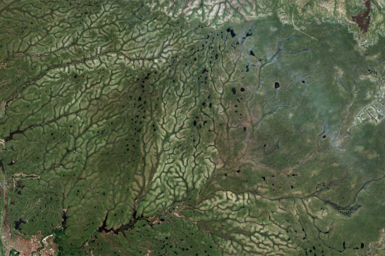Scientists can’t agree on where the world’s forests are