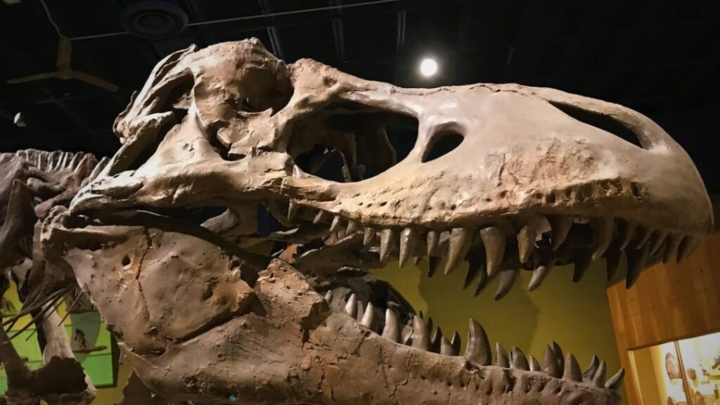 7 Dinosaur Myths That Paleo-Enthusiasts Still Believe