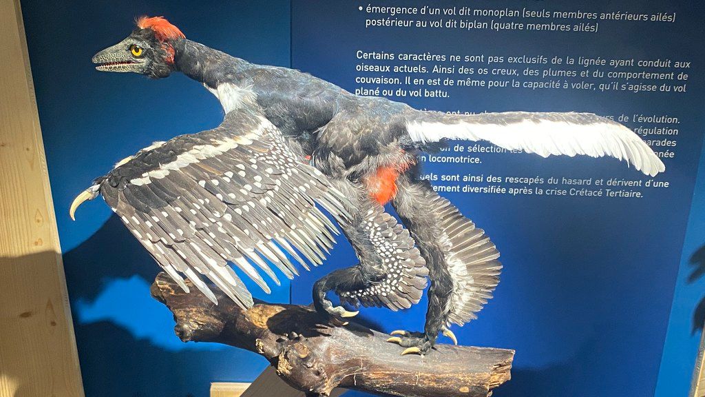 The Colors of Dinosaurs Are Being Revealed Through Groundbreaking Science