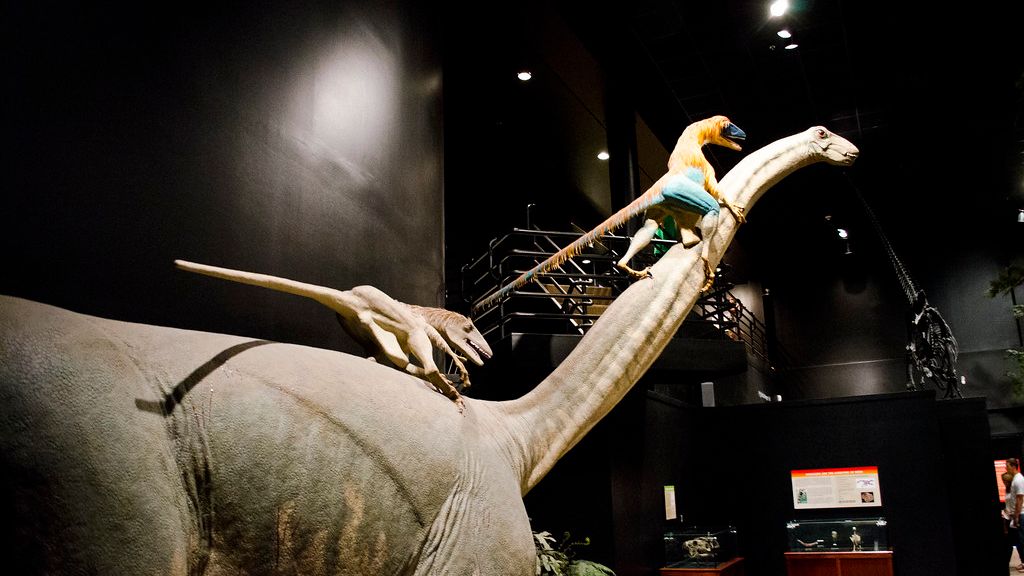 Dinosaurs Displayed Remarkable Intelligence in Their Hunting Strategies