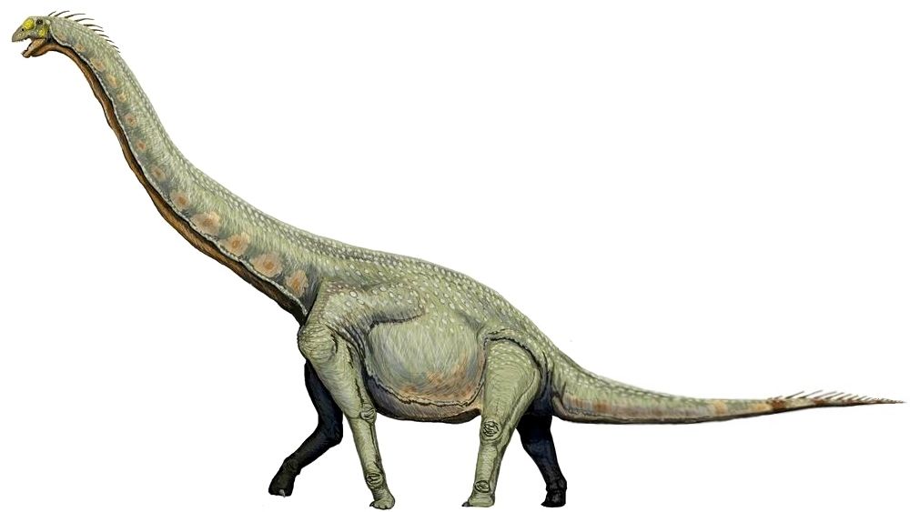The Longest-Lived Dinosaur Species Defy Conventional Biological Expectations