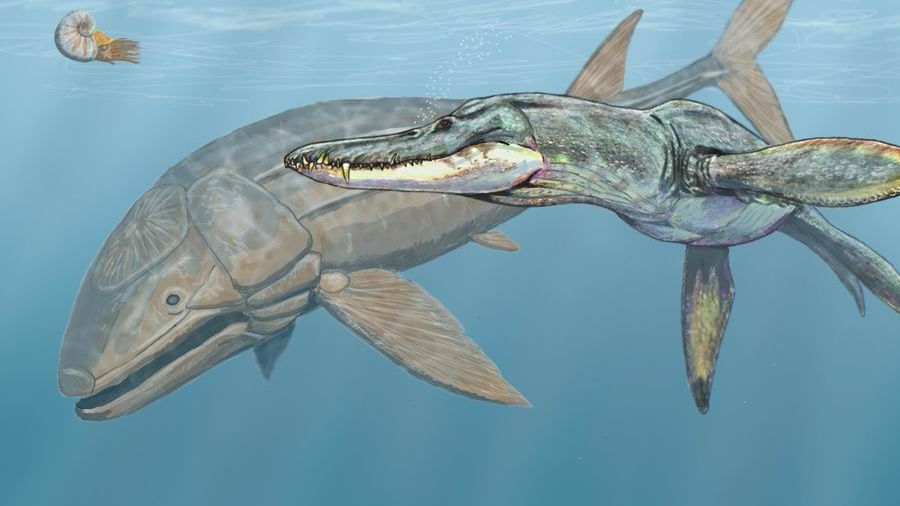 The True Scale of Ancient Marine Reptiles Will Truly Astonish You