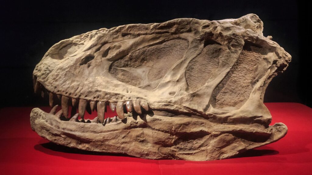 7 Hidden Clues That Reveal a Dinosaur's True Age and Ancient Secrets