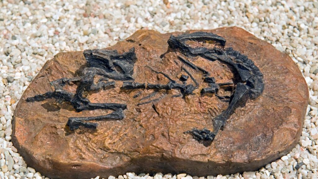 Ancient DNA Reveals Dinosaurs Possessed Surprising Social Structures