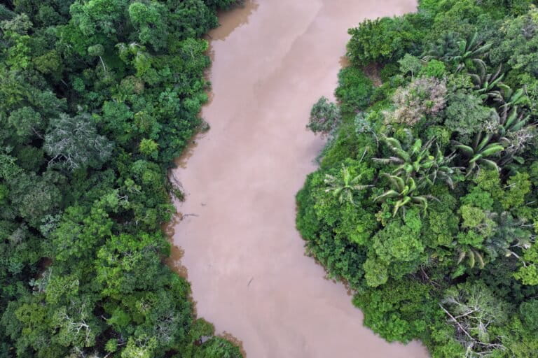 Amazon deforestation on pace to be the lowest on record, says Brazil