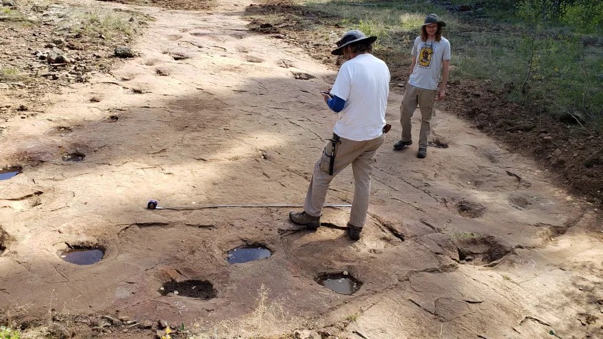 Unearth the 7 Traits of a True Paleontologist's Spirit