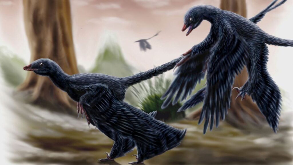 The Evolution of Flight in Birds Began with Dinosaurs