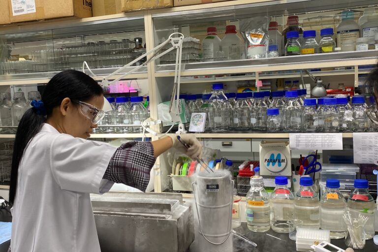 In Thailand, a coral cryobank tries to buy time for dying reefs