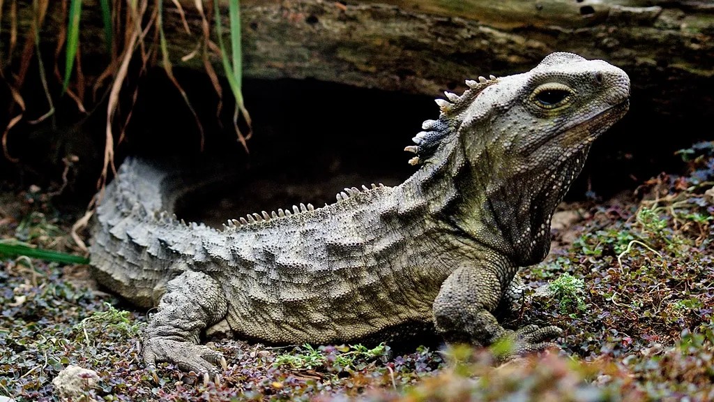 6 Times Ancient Wildlife Survived Against All Odds: Lessons for Today