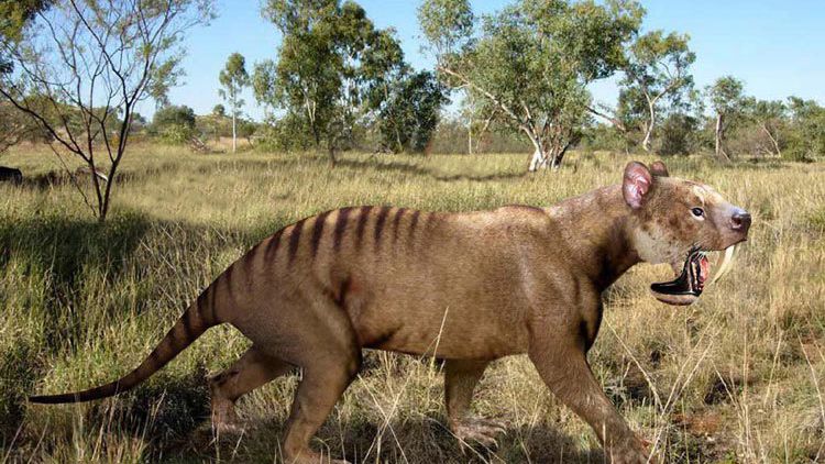 These Prehistoric Animals Had Bizarre Features You Won't Believe