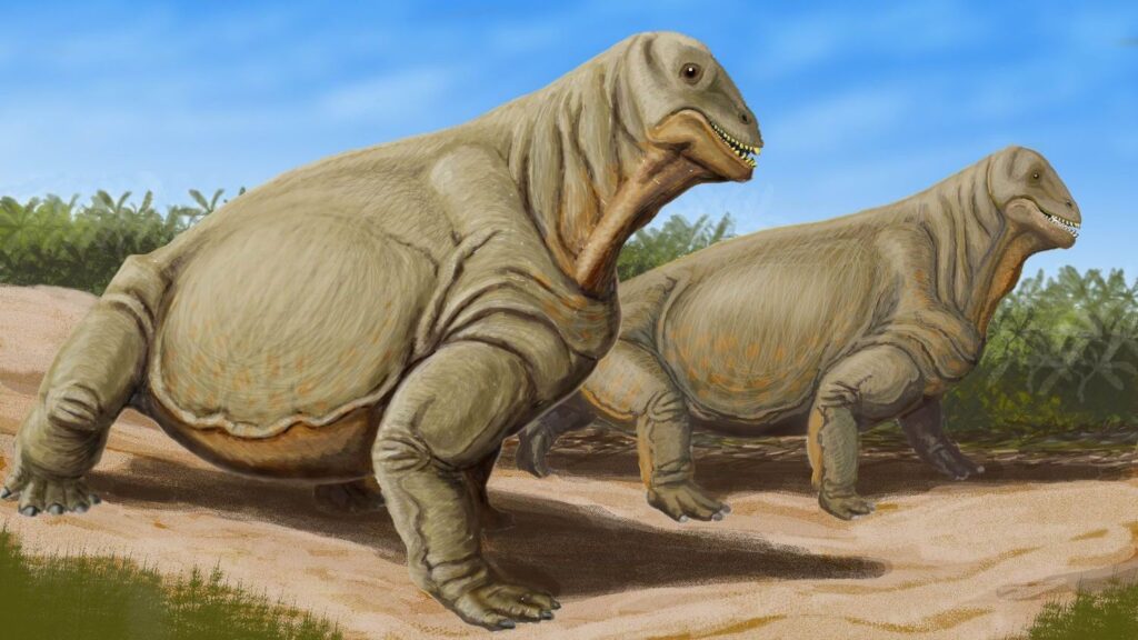 11 Prehistoric Mammals That Ruled Before the Age of Dinosaurs