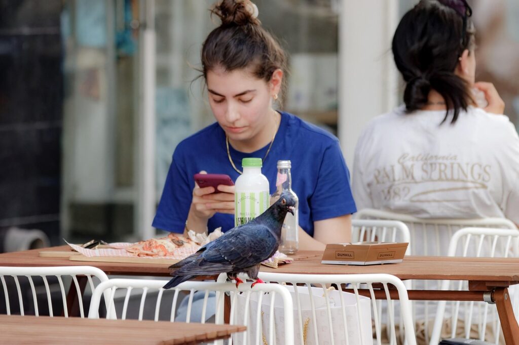 What You Have in Common With a Pigeon and Why It’s Causing Problems for You