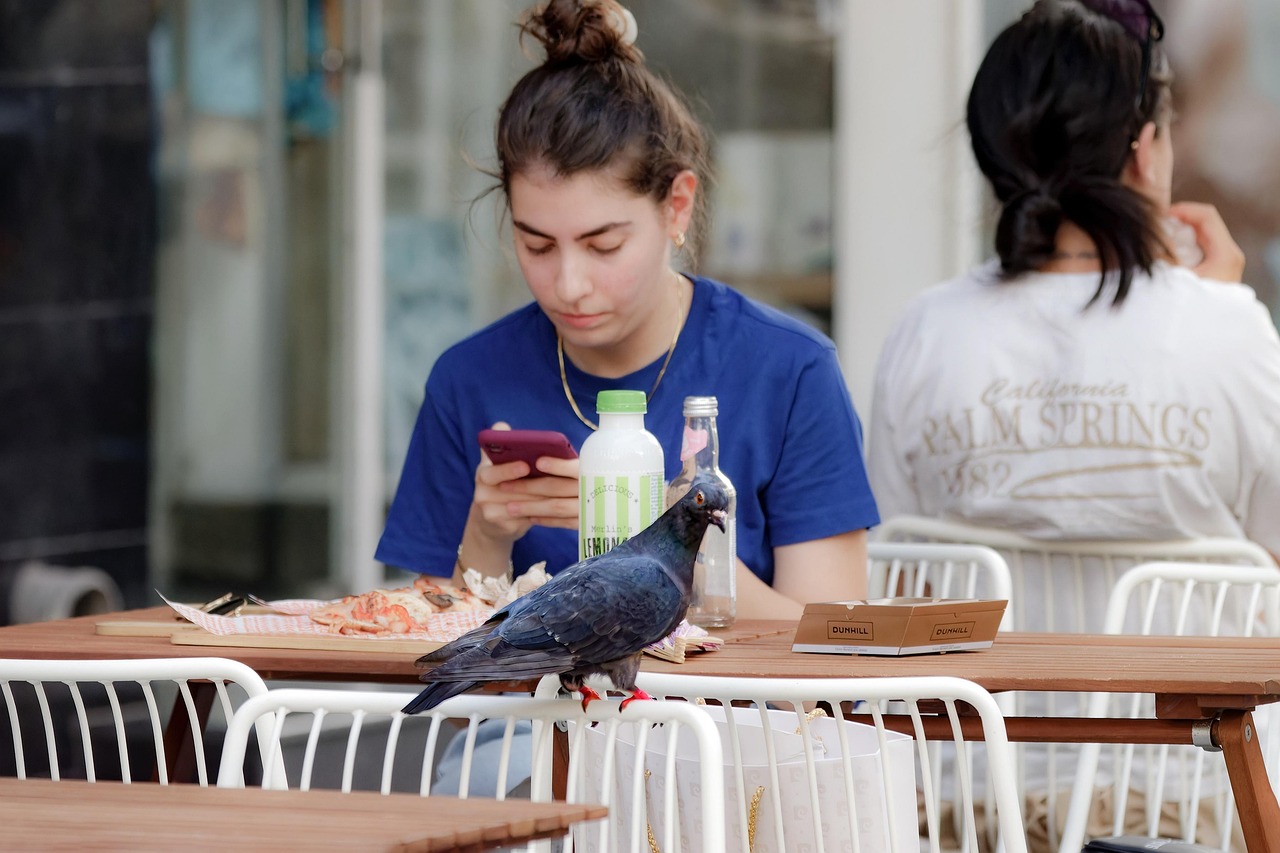 What You Have in Common With a Pigeon and Why It’s Causing Problems for You