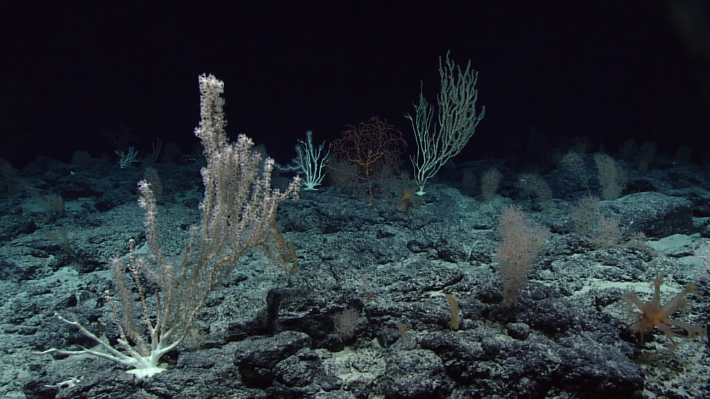 Deep Ocean Trenches Hold Secrets From Earth's Earliest Days