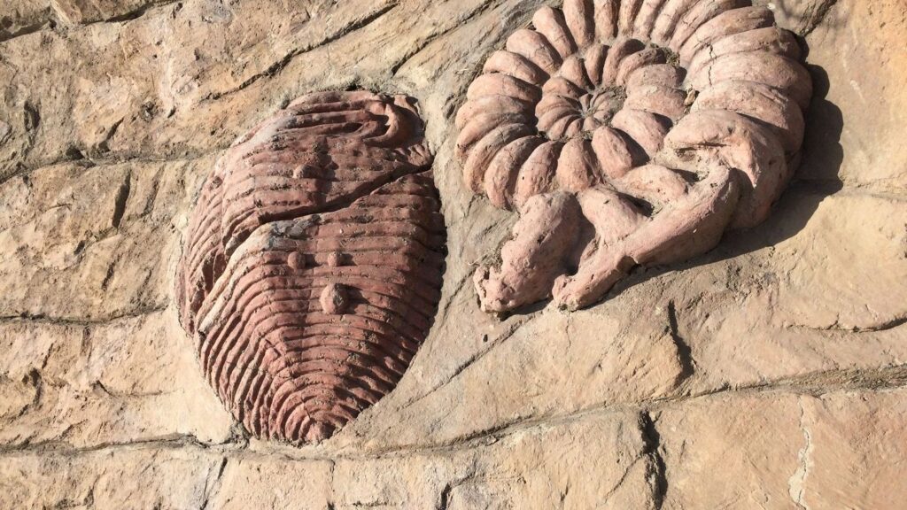 Paleontology's Greatest Hoaxes Exposed: The Bones That Lied