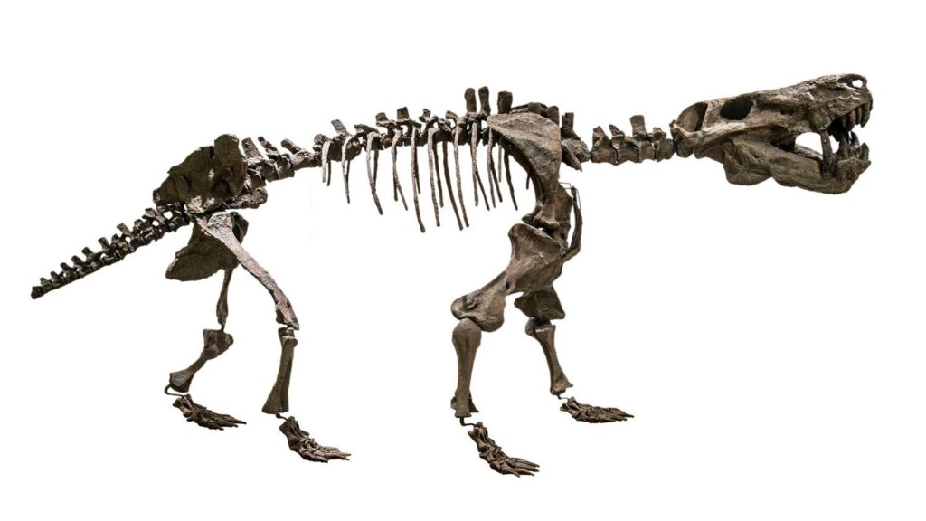 Ancient Earth's Most Bizarre Creatures Were Not Dinosaurs