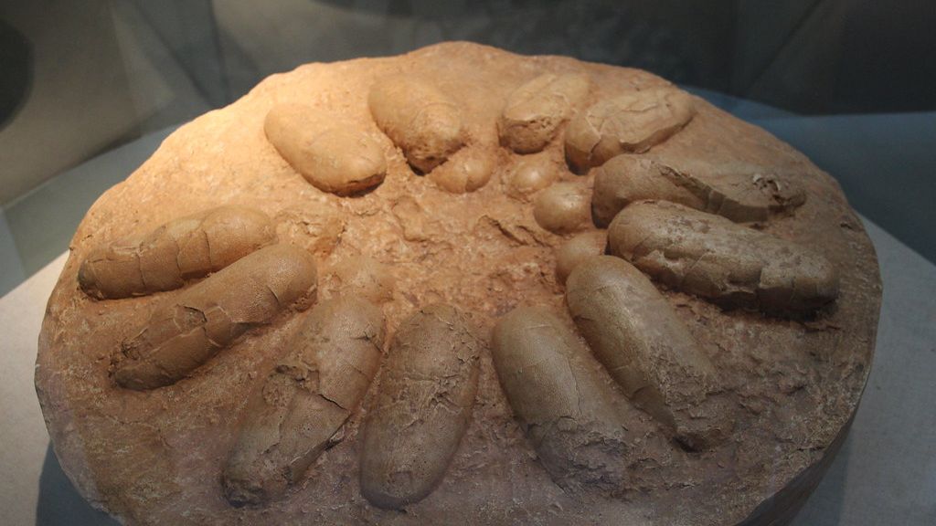 The Secret Lives of Dinosaur Eggs: More Complex Than We Thought