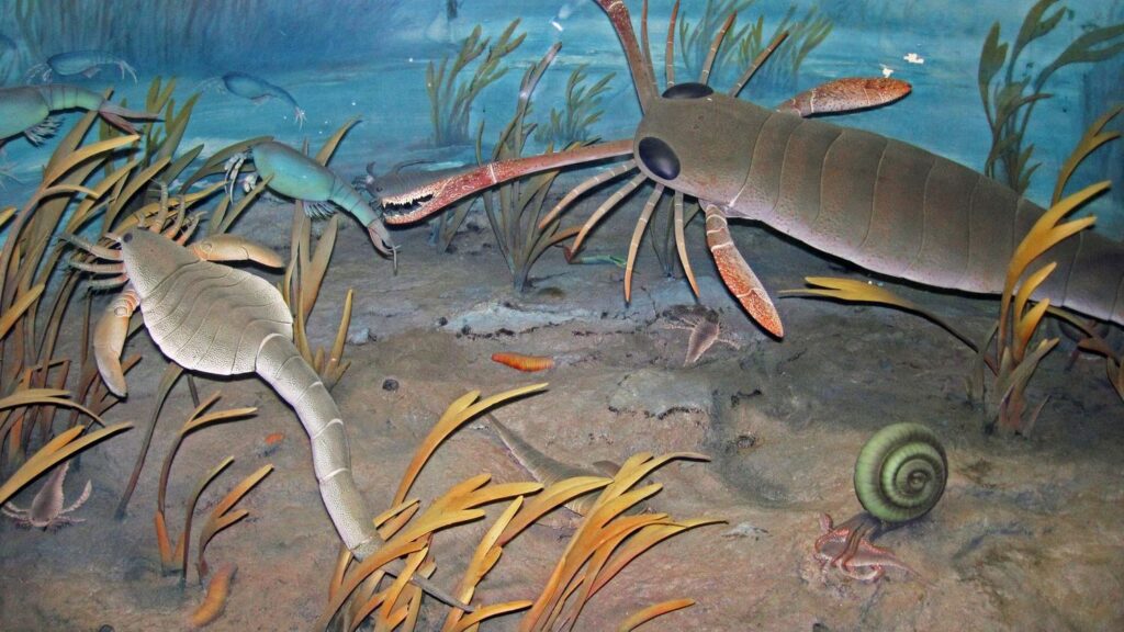 The Ocean's First Monsters: Unveiling Ancient Marine Predators