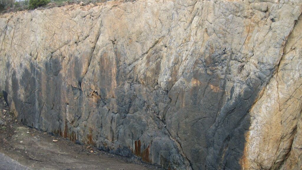 Prehistoric Plants: The Unsung Heroes of Ancient Ecosystems