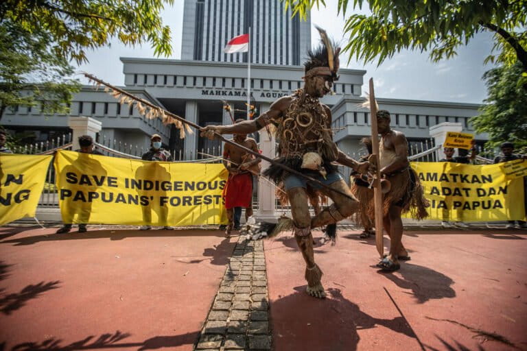 Indigenous communities oppose Papua forest rezoning for palm oil