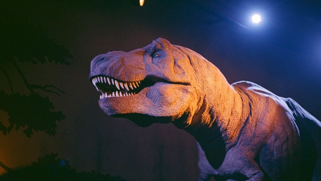 12 Surprising Facts About Dinosaur Brains You Won't Believe