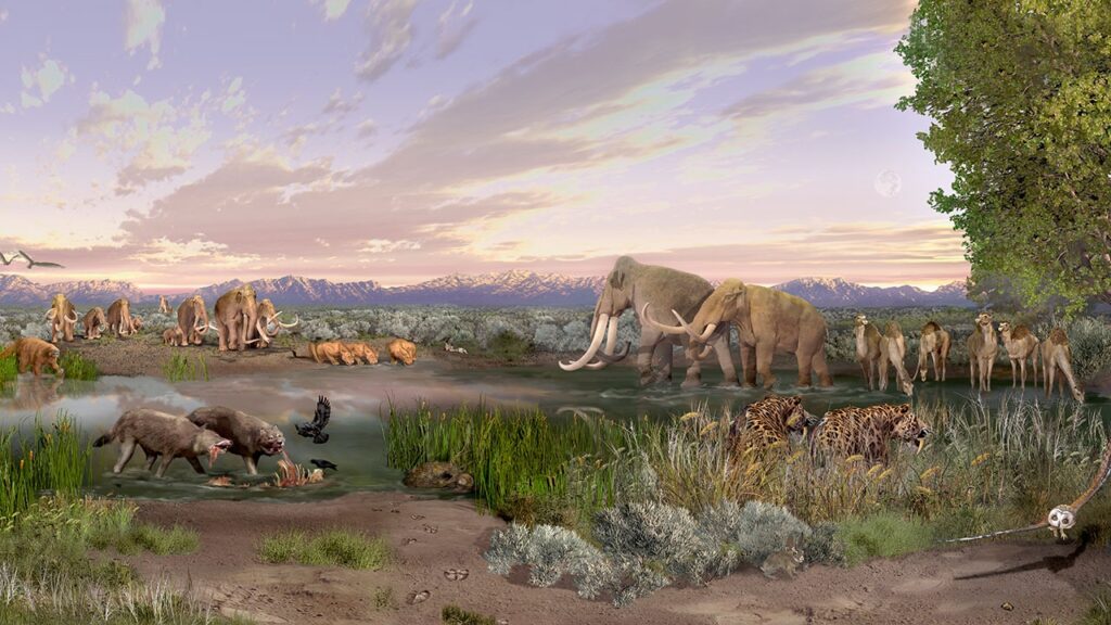 Why Are There No More Giant Mammals? The Extinction of Megafauna