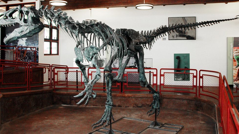 Unraveling the Mystery: What Made the Theropods So Terrifyingly Efficient?