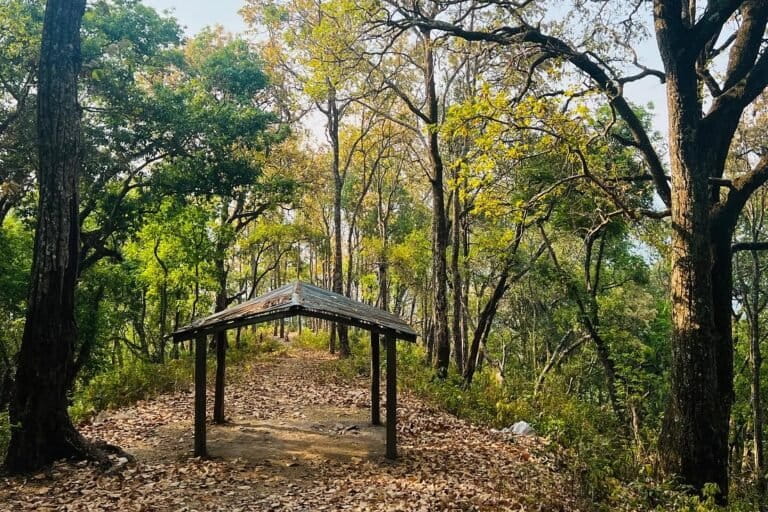 Nepal signs major carbon deal but community access remains challenging