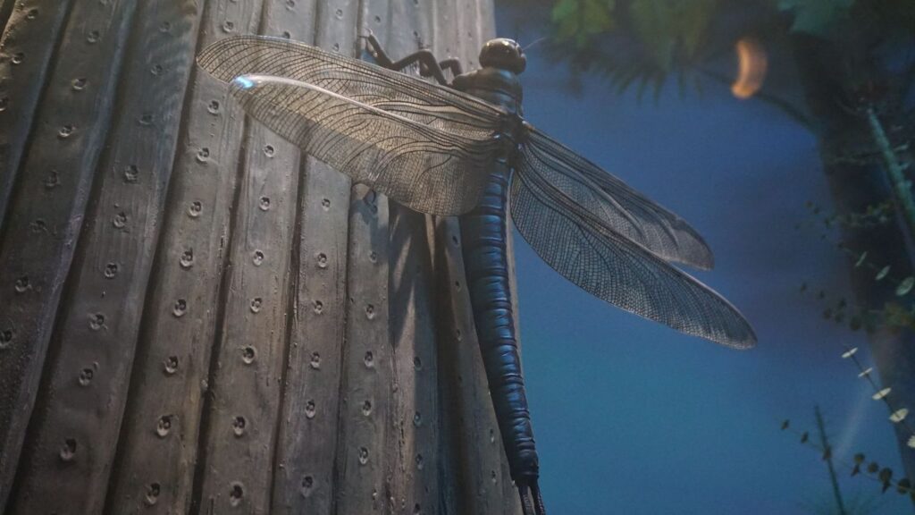 9 Astonishing Prehistoric Insects That Ruled the Skies Long Before Birds