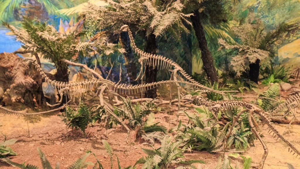The Fossil Record Reveals Unexpected Social Structures in Ancient Dinosaur Herds